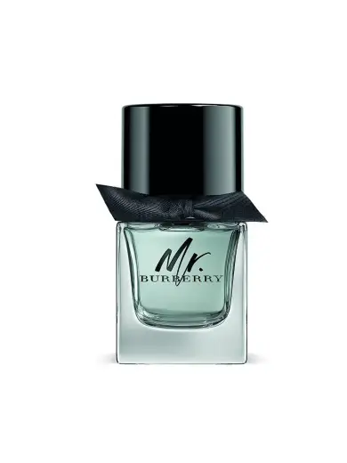 Burberry Mr. Burberry (EDT) Eau de Toilette for Men 50 ml
