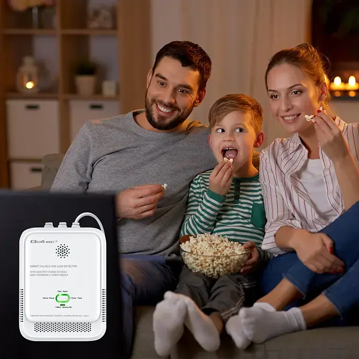 Qoltec Certified wireless Gas Leak (CH4) and Carbon monoxide (CO) detector | alarm 85dB | LED
