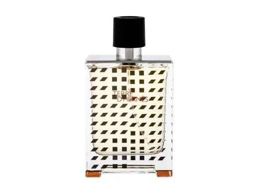Hermes Terre d'Hermes Flacon H 2019 Eau de Toilette 100 ml