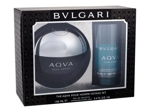 Bvlgari Aqva Pour Homme Eau de Toilette 100 ml
