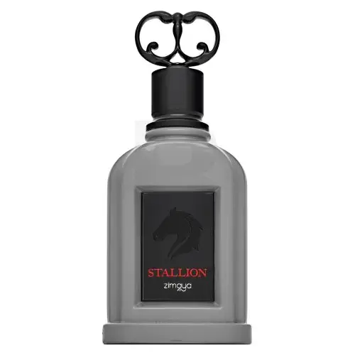 Zimaya Stallion parfimērijas ūdens vīriešiem 100 ml
