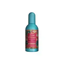 Tesori d'Oriente Ayurveda (EDP) parfimērijas ūdens unisex 100 ml