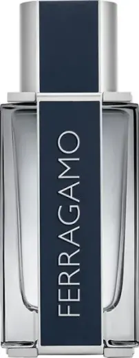 Salvatore Ferragamo Ferragamo (EDT) tualettvesi meestele 50 ml