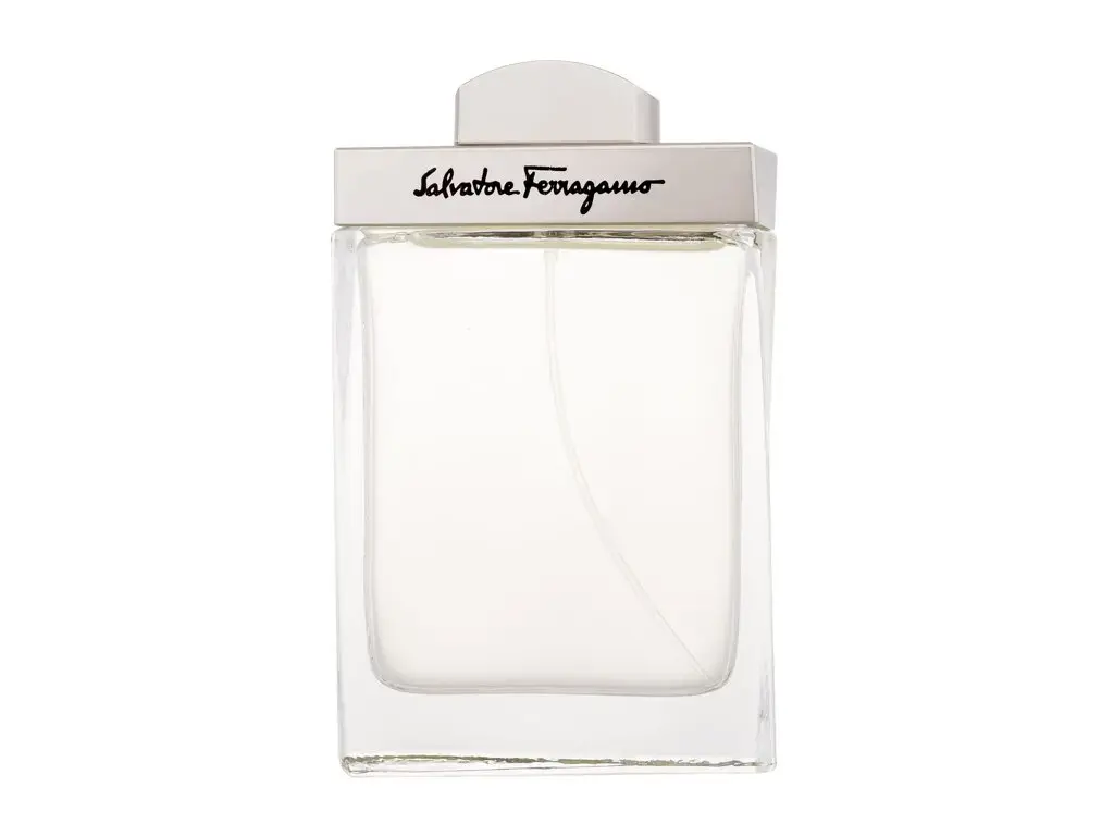 Salvatore Ferragamo Pour Homme Tualetes ūdens vīriešiem 100 ml