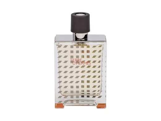 Hermes Terre d'Hermes Flacon H 2019 Eau de Toilette 100 ml