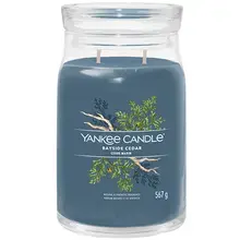 Bayside Cedar Signature Candle