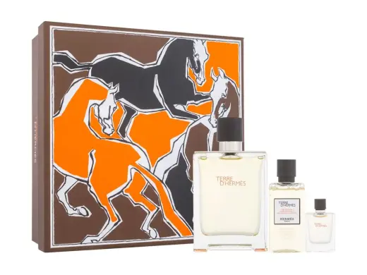 Hermes Terre d'Hermes Eau de Toilette 100 ml