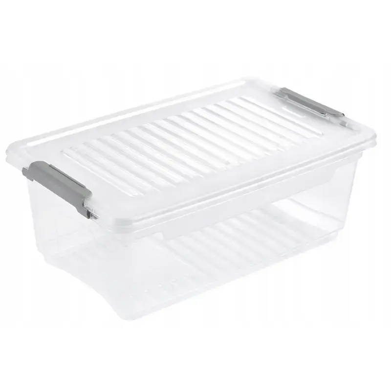 Kaste ar vāku clipbox Leonie 28,5x18,5x10,5cm 3,7L caurspīdīga