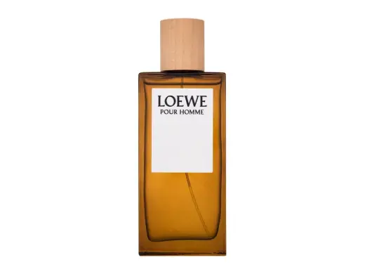 Loewe Pour Homme Eau de Toilette 100 ml