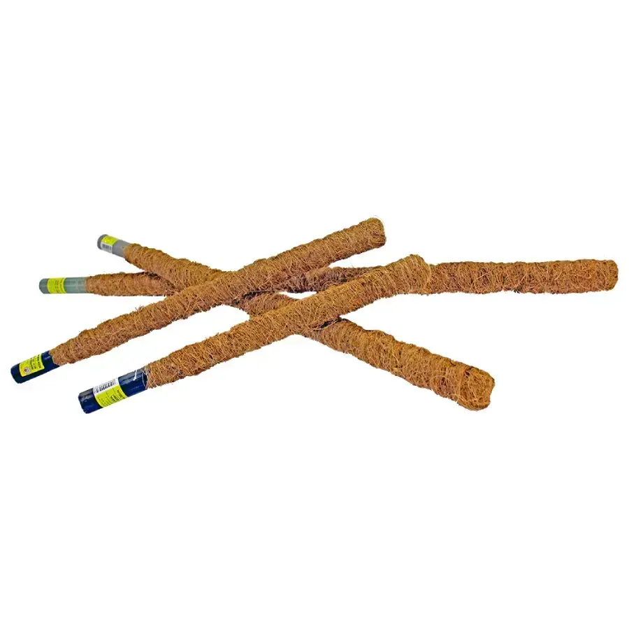 Coconut stick 80cm