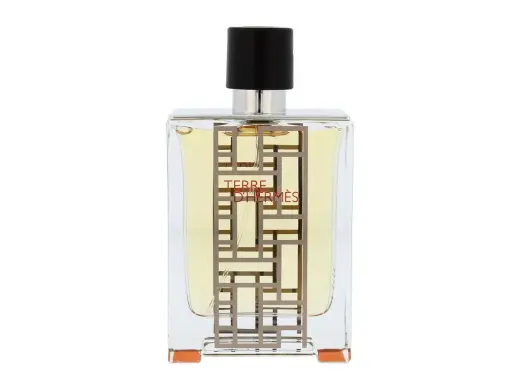 Hermes Terre D Hermes Flacon H 2013 Eau de Toilette 100 ml