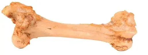 Gardums suņiem - Trixie Jumbo Bone 38 cm