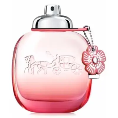 Coach Floral Blush for Women Eau De Parfum Spray 1.0 Oz