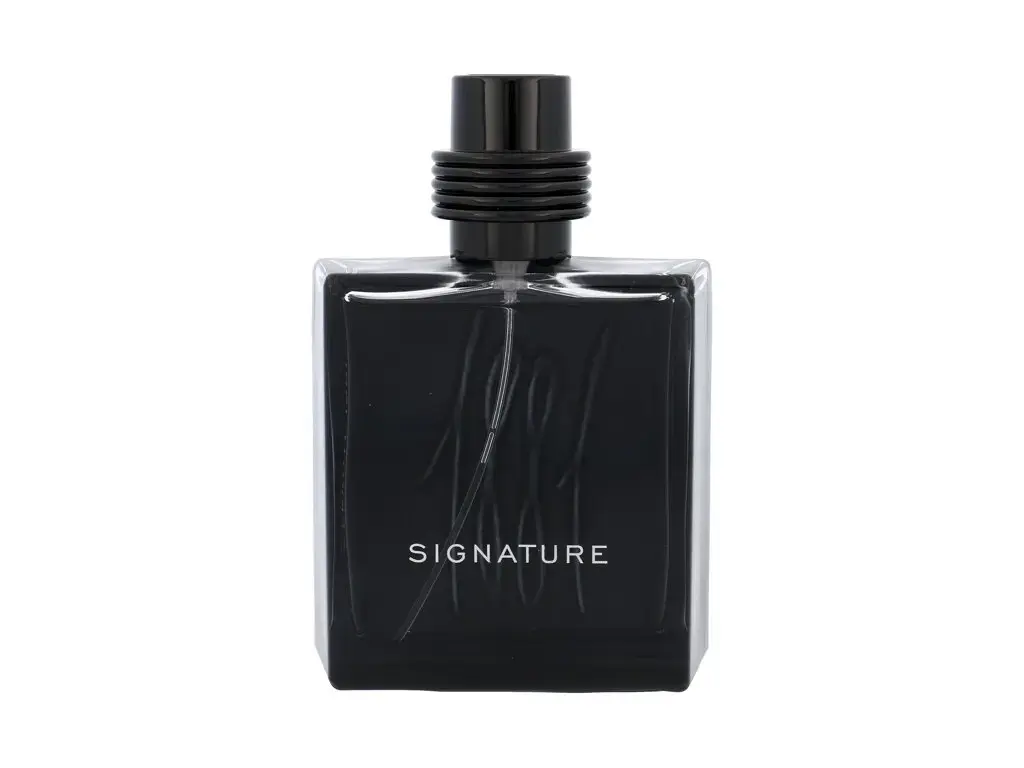 Nino Cerruti Cerruti 1881 Signature Eau de Parfum 100 ml