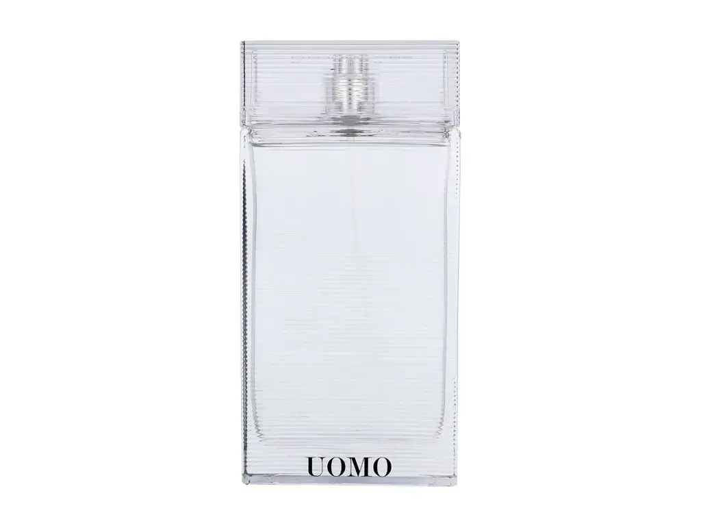 Ermenegildo Zegna Uomo Eau de Toilette 100 ml