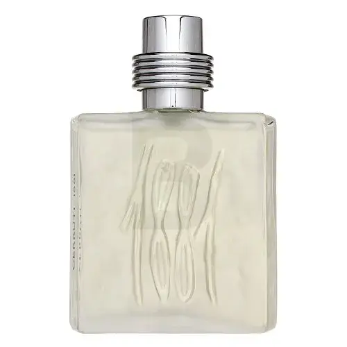 Cerruti 1881 pour Homme Tualetes ūdens vīriešiem 100 ml