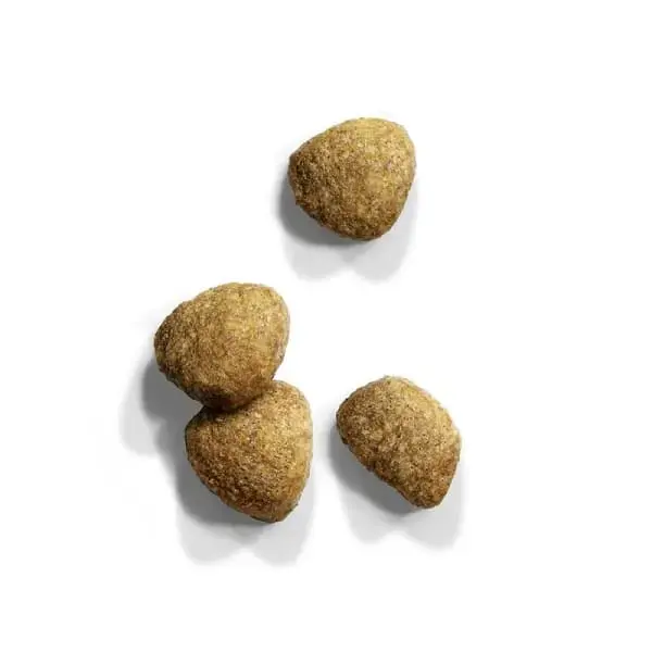 Sausā barība kaķiem - IAMS CAT ADULT STERILIZED CHICKEN, 10 kg