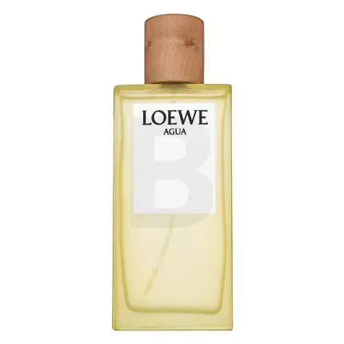 Loewe Agua de Loewe (EDT) tualetinis vanduo unisex 100 ml