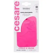 Cesare Scented Card Cistrus & Musk - Vůně do auta