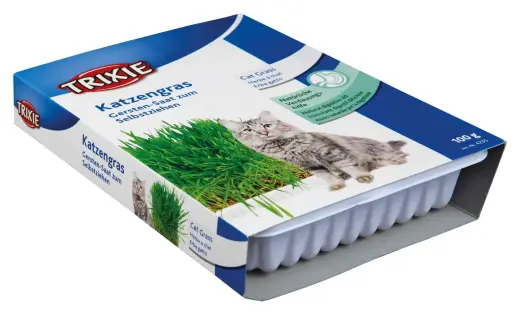 Zāle kaķiem : Trixie Cat Grass (bowl), 100 g