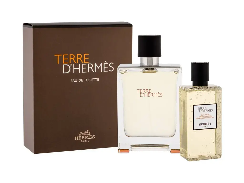 Hermes Terre d'Hermes Eau de Toilette 100 ml