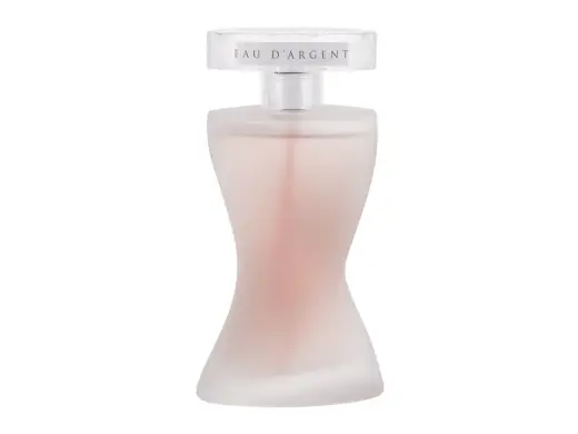 Montana Suggestion Eau d'Argent Eau de Parfum 100 ml