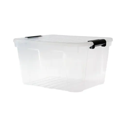 Box Home box 30L transparent