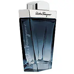 Ferragamo Subtil Pour Homme Eau de Toilette 100 ml