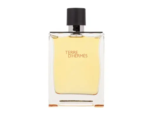 Hermes Terre d'Hermes Perfume 200 ml