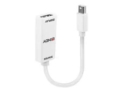 Lindy adapter - DisplayPort | HDMI
