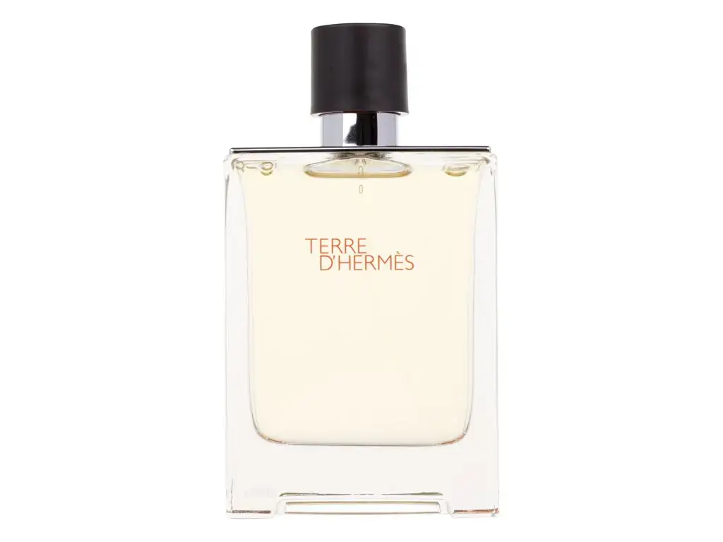 Hermes Terre d'Hermes Eau de Toilette 100 ml