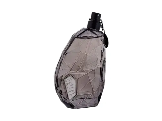 Replay Stone Eau de Toilette 100 ml