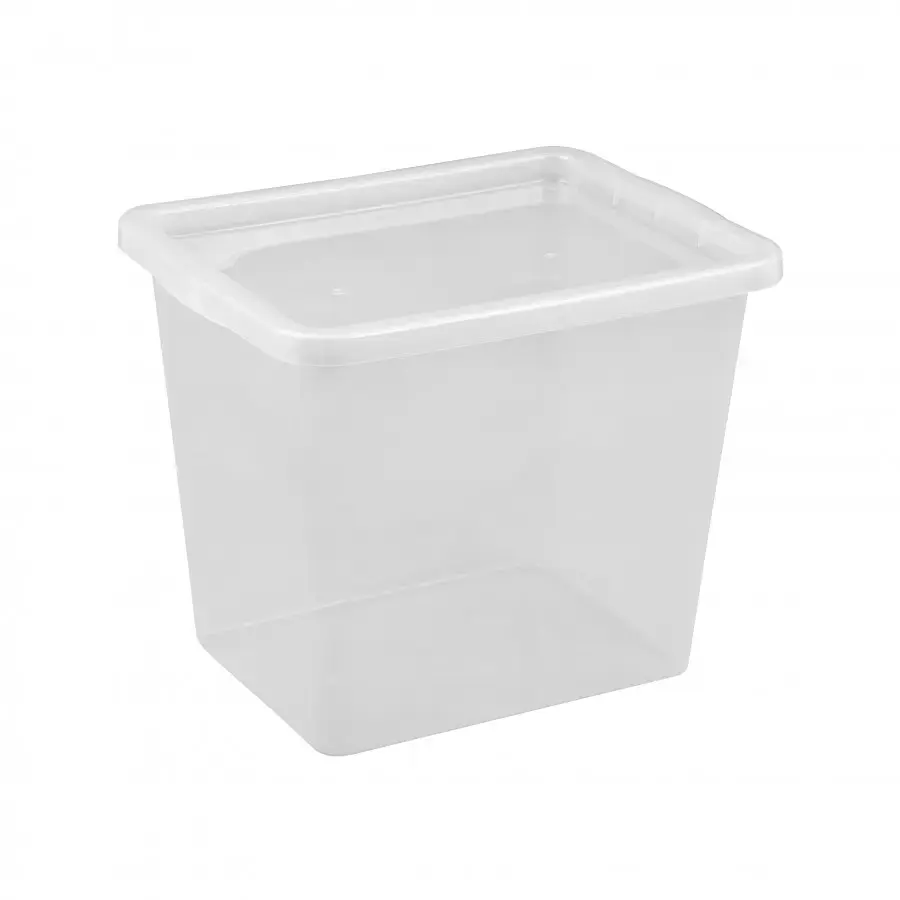 NHG Box Basic 31L transparent with lid