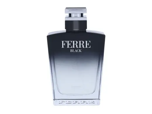 Gianfranco Ferré Ferre Black Eau de Toilette 100 ml