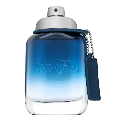 Coach Blue Tualetes ūdens vīriešiem 60 ml