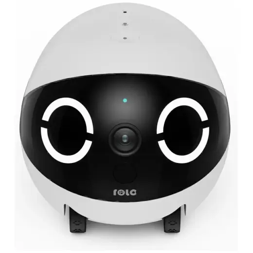 Intelligent companion robot ENABOT   ROLAMINI