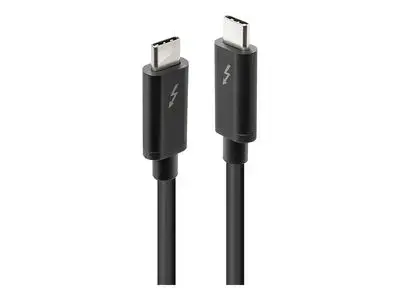 Lindy - Thunderbolt cable - 24 pin USB-C to 24 pin USB-C - 1 m