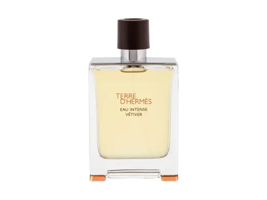 Hermes Terre d'Hermes Eau Intense Vétiver Eau de Parfum 100 ml