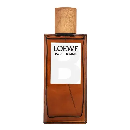 Loewe Pour Homme Eau de Toilette for men 100 ml
