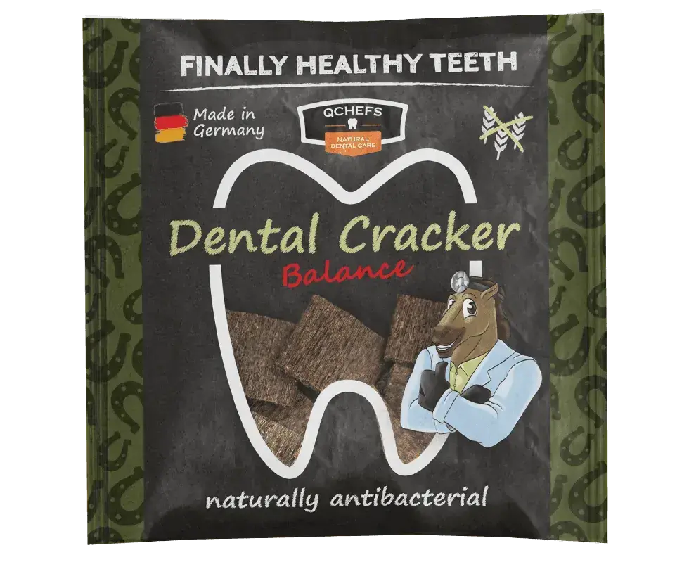 QCHEFS Horse Treat Dental Cracker Balance 63 g