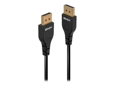 Lindy Slim Line - DisplayPort cable - DisplayPort to DisplayPort - 2 m
