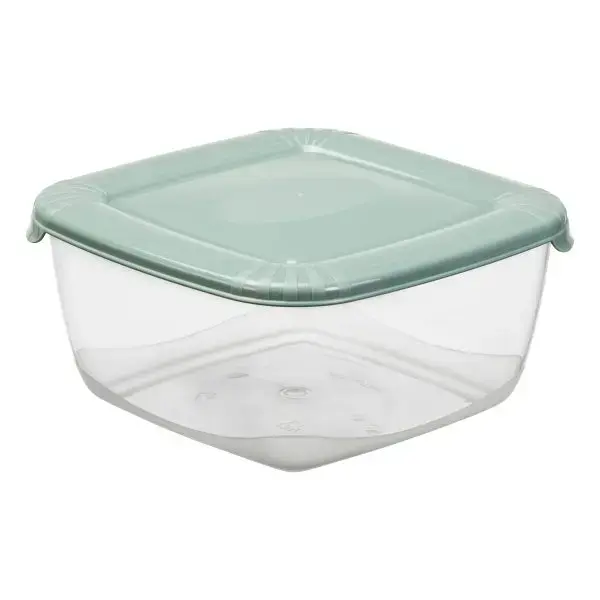 Storage container Polar box square 2500ml, green