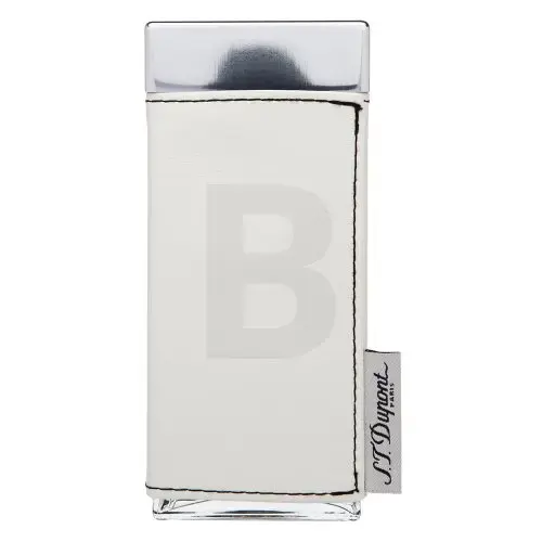 S.T. Dupont Passenger for Women eau de parfum for women 100 ml