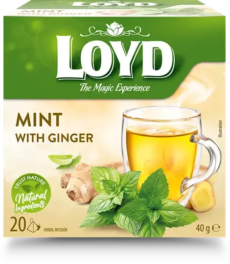 Tēja LOYD, piparmētru un ingvera garša, 20 x 2g