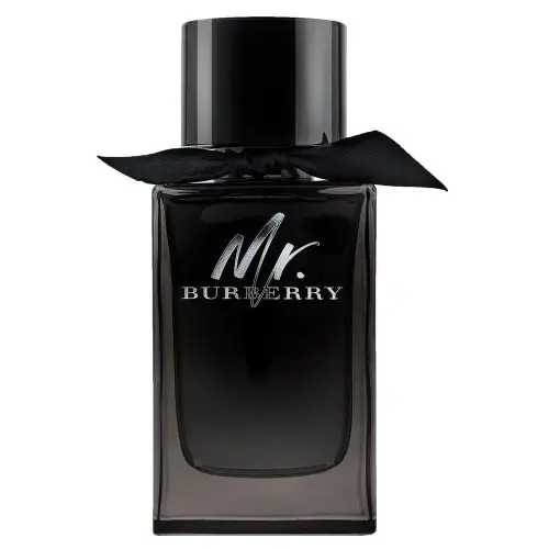Burberry Mr. Burberry parfimērijas ūdens vīriešiem 150 ml