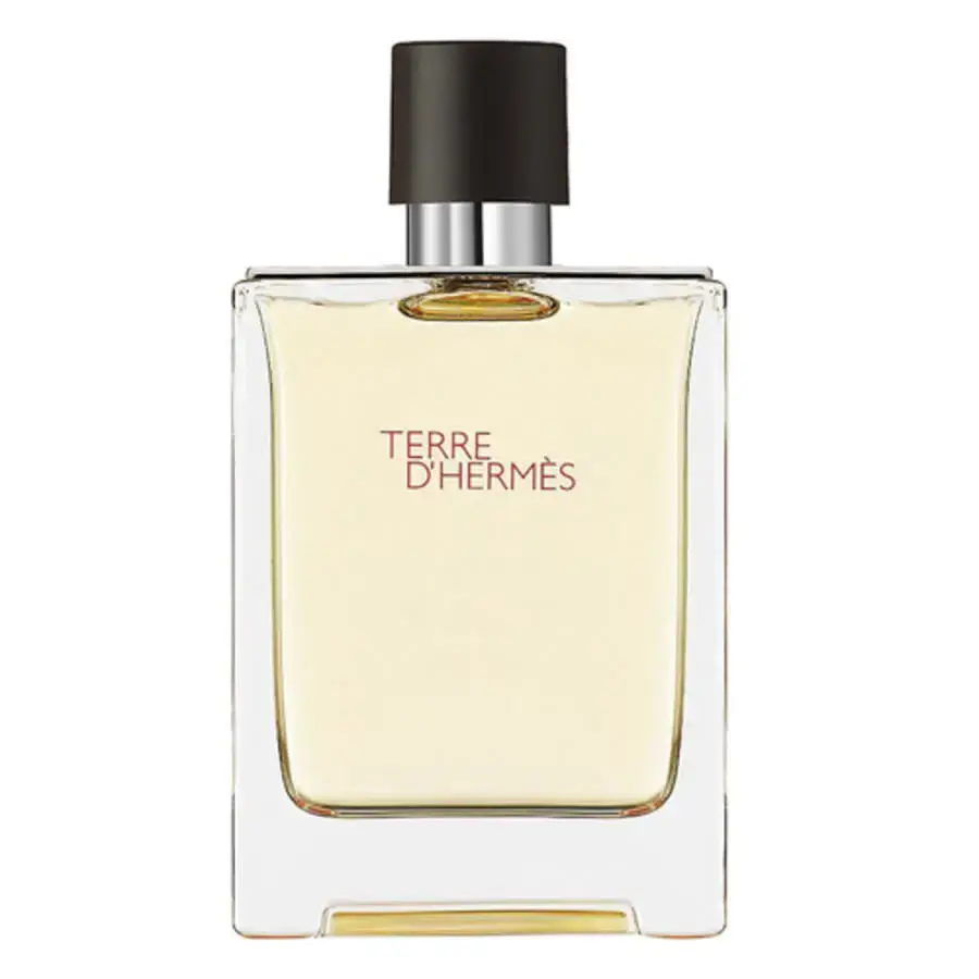 Hermès Terre D`Hermes vīriešiem Tester 100