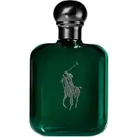 Polo Green by Ralph Lauren for Men - 4 Oz Cologne Intense Spray