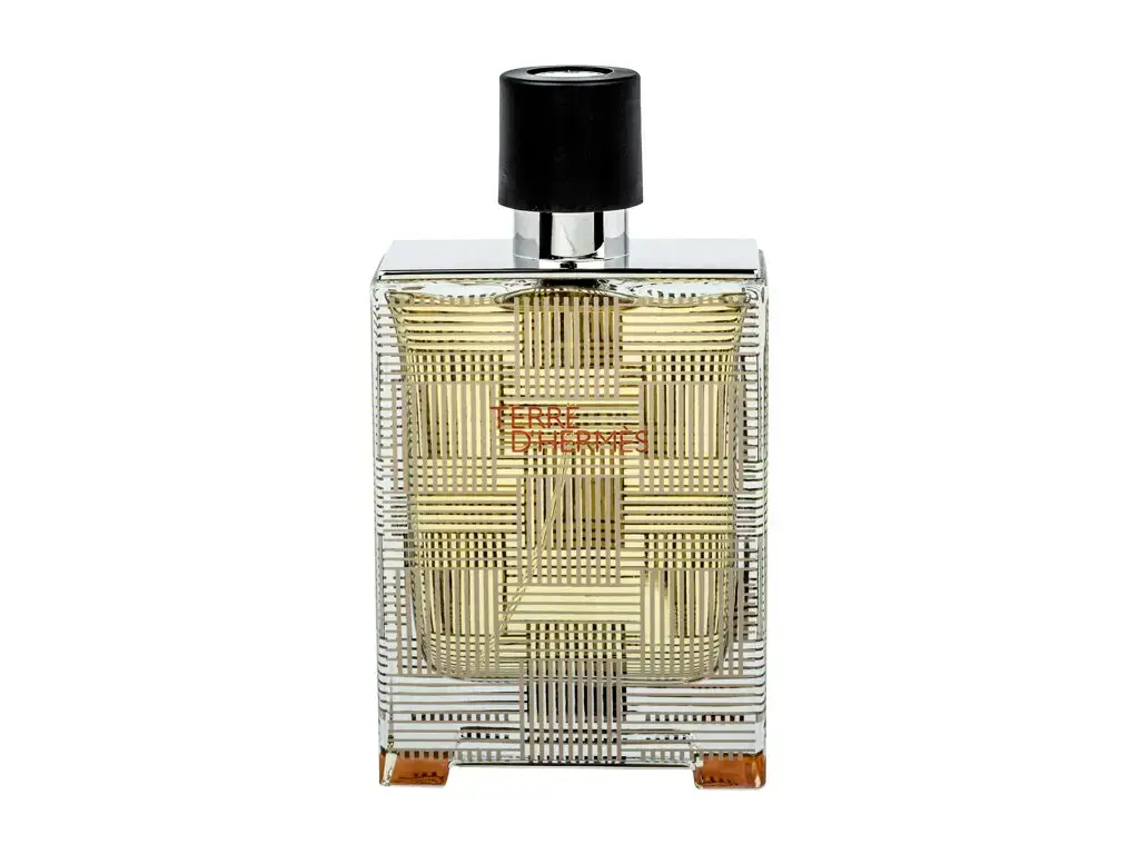 Hermes Terre d'Hermes Limited Edition Flacon H Eau de Toilette 100 ml