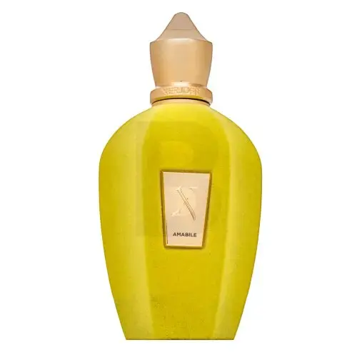 Xerjoff V Amabile (EDP) parfüümvesi unisex 100 ml