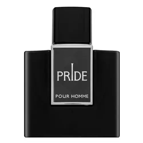 Rue Broca Pride Pour Homme (EDP) parfüümvesi meestele 100 ml